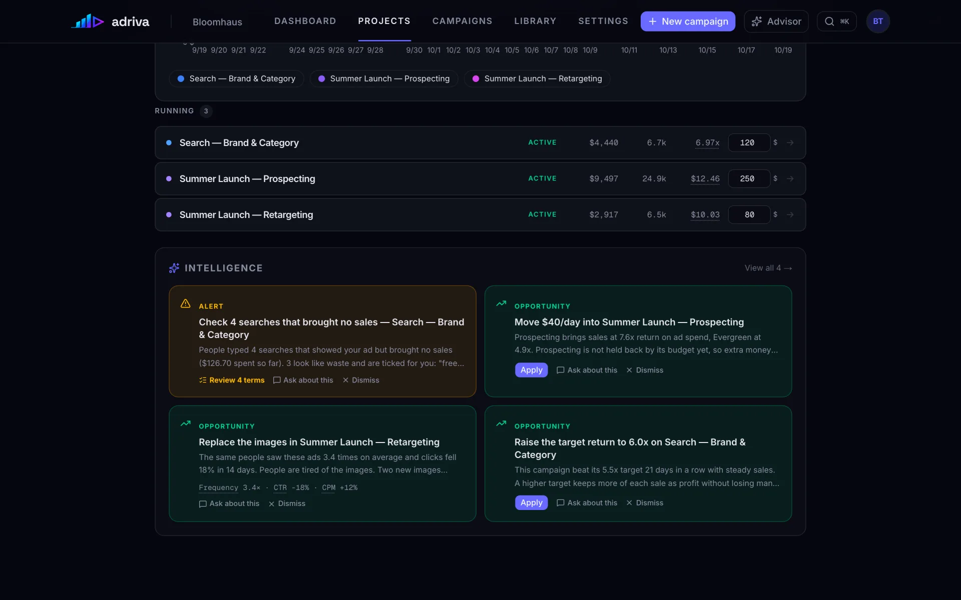 Adriva suggestion cards: an alert about searches with no sales and three opportunities with Apply buttons